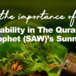 The importance of sustainability in The Quran and the Prophet (SAW)’s Sunnah